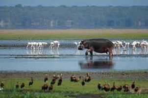 Kosi Bay Nature Reserve